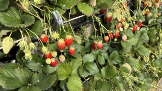 2026年 春の組合旅行へ行ってきました！