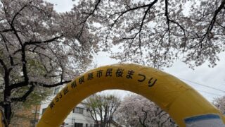 第53回 相模原市民桜まつりに参加しました
